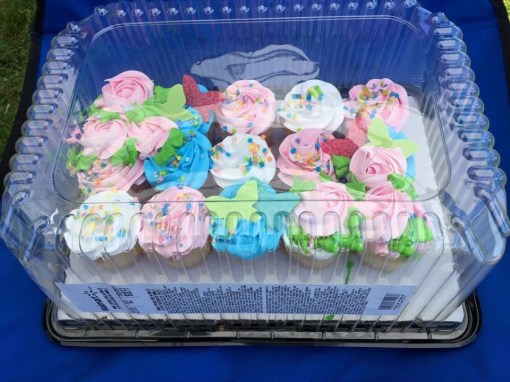 11143179_10204574499819397_1277537084940763983_n