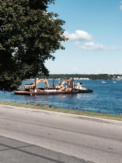 11181221_10205075415421974_964859144186735055_n