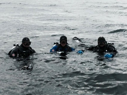 Going for a dive, at Centeen Park!