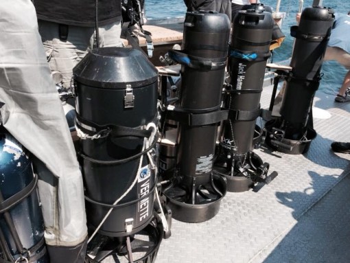 11880455_10205114872688381_4407337597067839171_n