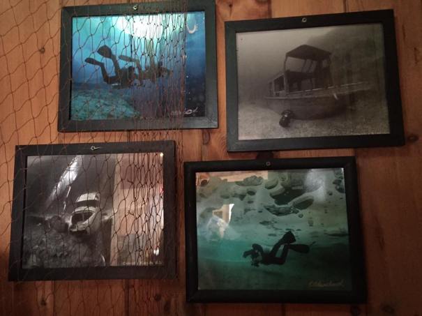 16864366_10208699250015574_9217776463721018541_n